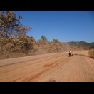 Vom Blattgrün ist nicht mehr viel zu sehen